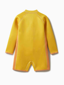 Cub the Lion - Kids Wetsuit